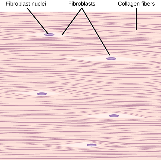 Figure_33_02_07