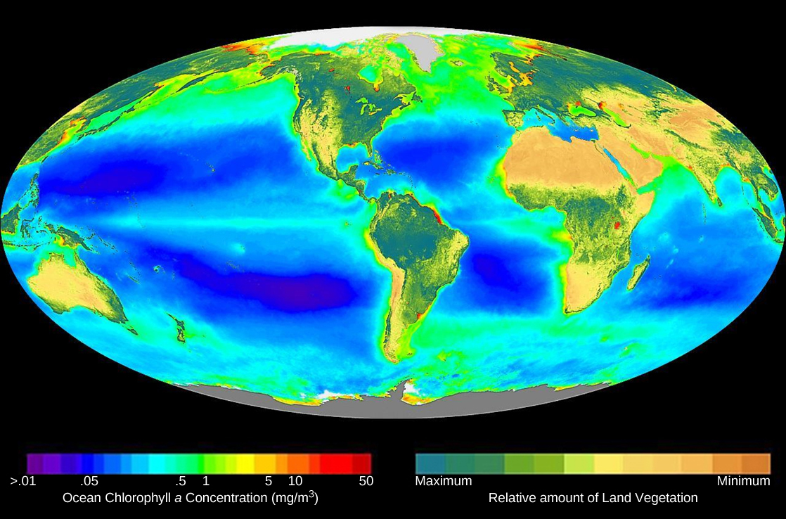 The image shows a map of the world, colored by the levels of chlorophyll a on land and in the ocean.