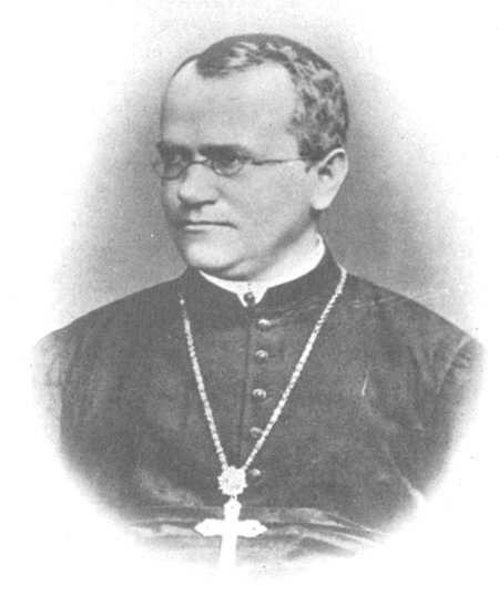Sketch of Gregor Mendel, a monk who wore reading glasses and a large cross.
