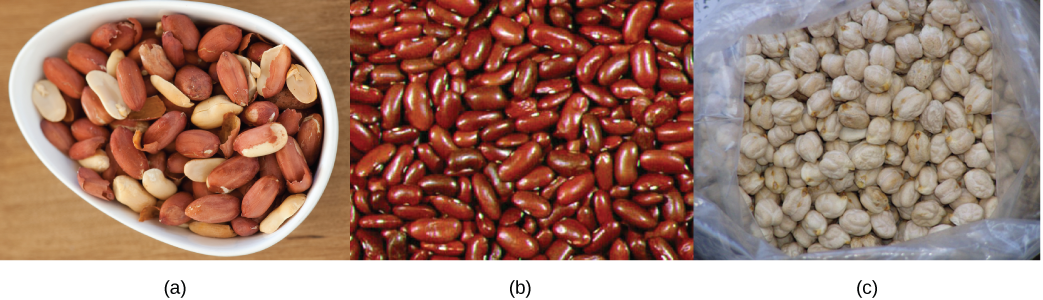 Top photo shows a bowl of shelled peanuts. Middle photo shows red kidney beans. Bottom photo shows white, bumpy, round chickpeas.
