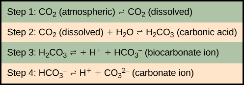 In step 1, atmospheric carbon dioxide dissolves in water. In step 2 dissolved carbon dioxide, which is written as upper case C upper case O subscript 2 baseline, reacts with water, written as upper case H subscript 2 baseline upper case O, to form carbonic acid which is upper H subscript 2 baseline upper C upper O subscript 3 baseline. In step 3, carbonic acid dissociates into a proton, shown as upper case H plus sign, and a bicarbonate ion, shown as upper H upper C upper O subscript 3 negative. In step 4 the bicarbonate ion dissociates into another proton and a carbonate ion, shown as upper C upper O subscript 3 baseline superscript two negative.