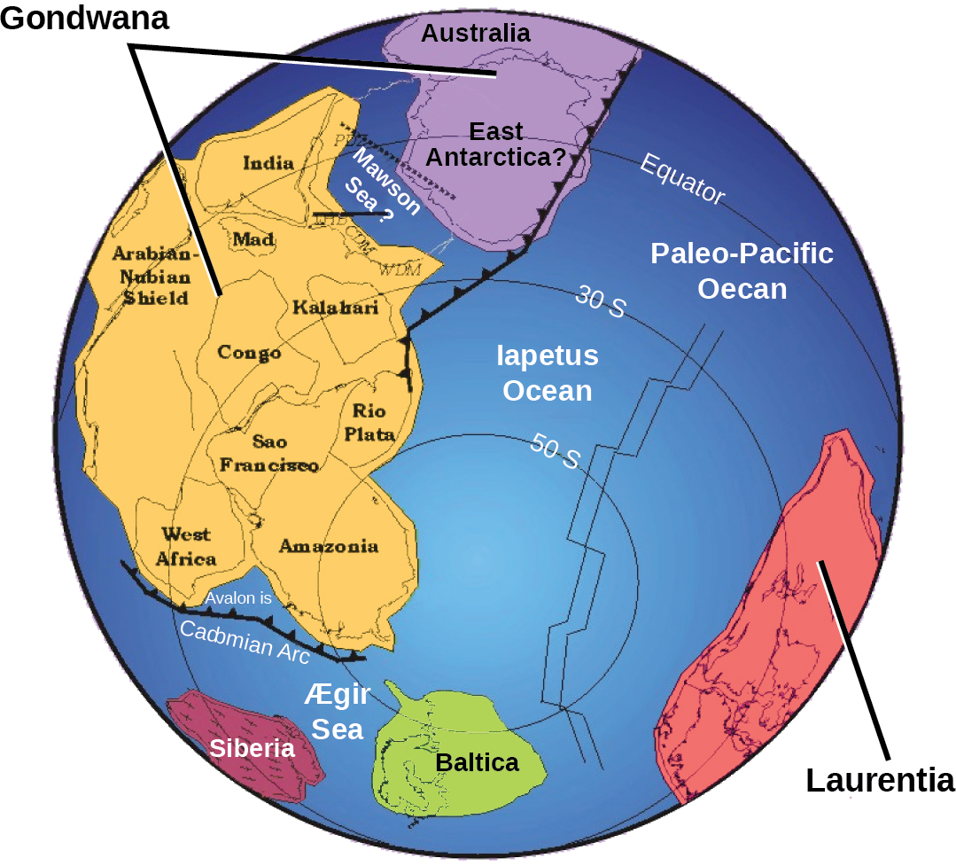 A world map shows two continents, Gondwana and Laurentia, which are shaped very differently from the continents of today. Gondwana was made up of two smaller subcontinents separated by a narrow sea. One continent contained modern Antarctica, and the other contained parts of Africa.