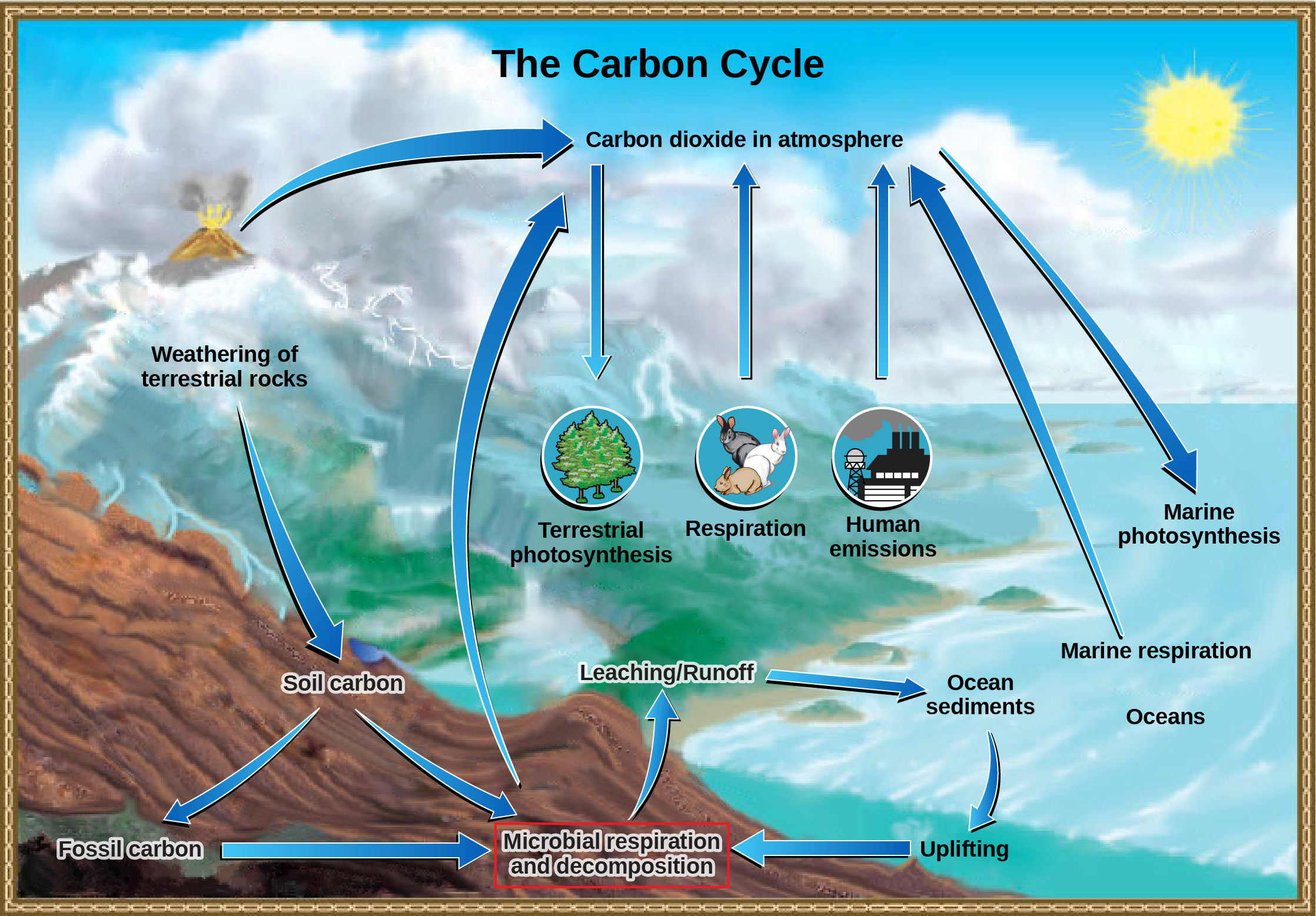 The illustration shows the carbon cycle. Carbon enters the atmosphere as carbon dioxide gas that is released from human emissions, respiration and decomposition, and volcanic emissions. Carbon dioxide is removed from the atmosphere by marine and terrestrial photosynthesis. Carbon from the weathering of rocks becomes soil carbon, which over time can become fossil carbon. Carbon enters the ocean from land via leaching and runoff. Uplifting of ocean sediments can return carbon to land.