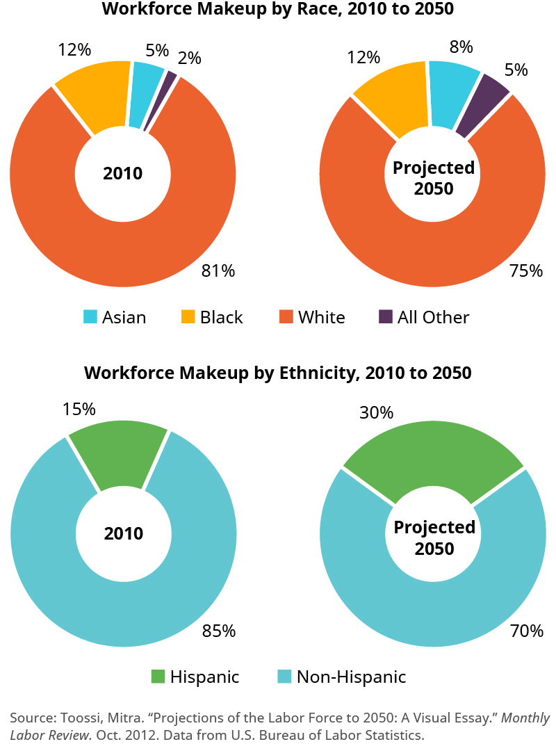 Texas Tech Ethnic Diversity Pie Chart