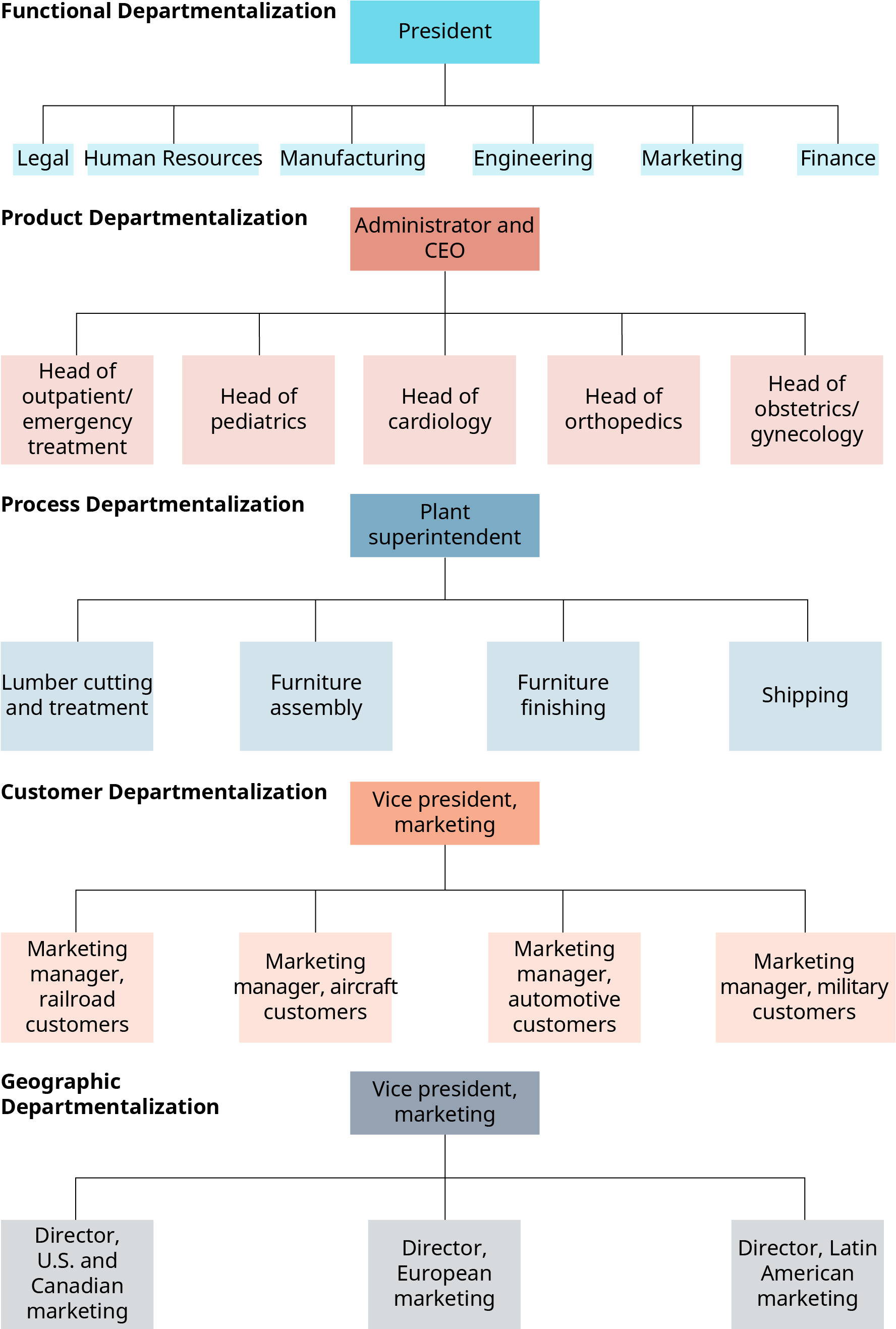 Functional departmentalization shows a president, with lines extending to legal, human resources, manufacturing, engineering, marketing, and finance. Product departmentalization shows an administrator and C E O, with lines extending to head of outpatient slash emergency treatment, head of pediatrics, head of cardiology, head of orthopedics, and head of obstetrics slash gynecology. Process departmentalization shows a plant superintendent with lines extending to lumber cutting and treatment, furniture assembly, furniture finishing, and shipping. Customer departmentalization shows the vice president of marketing, with lines extending to marketing manager, railroad customers; and marketing manager, aircraft customers; and marketing manager, automotive customers, and marketing manager, military customers. Geographic departmentalization shows the vice president of marketing, with lines extending to the director, U S and Canadian marketing; and director, European marketing; and director, Latin American marketing.
