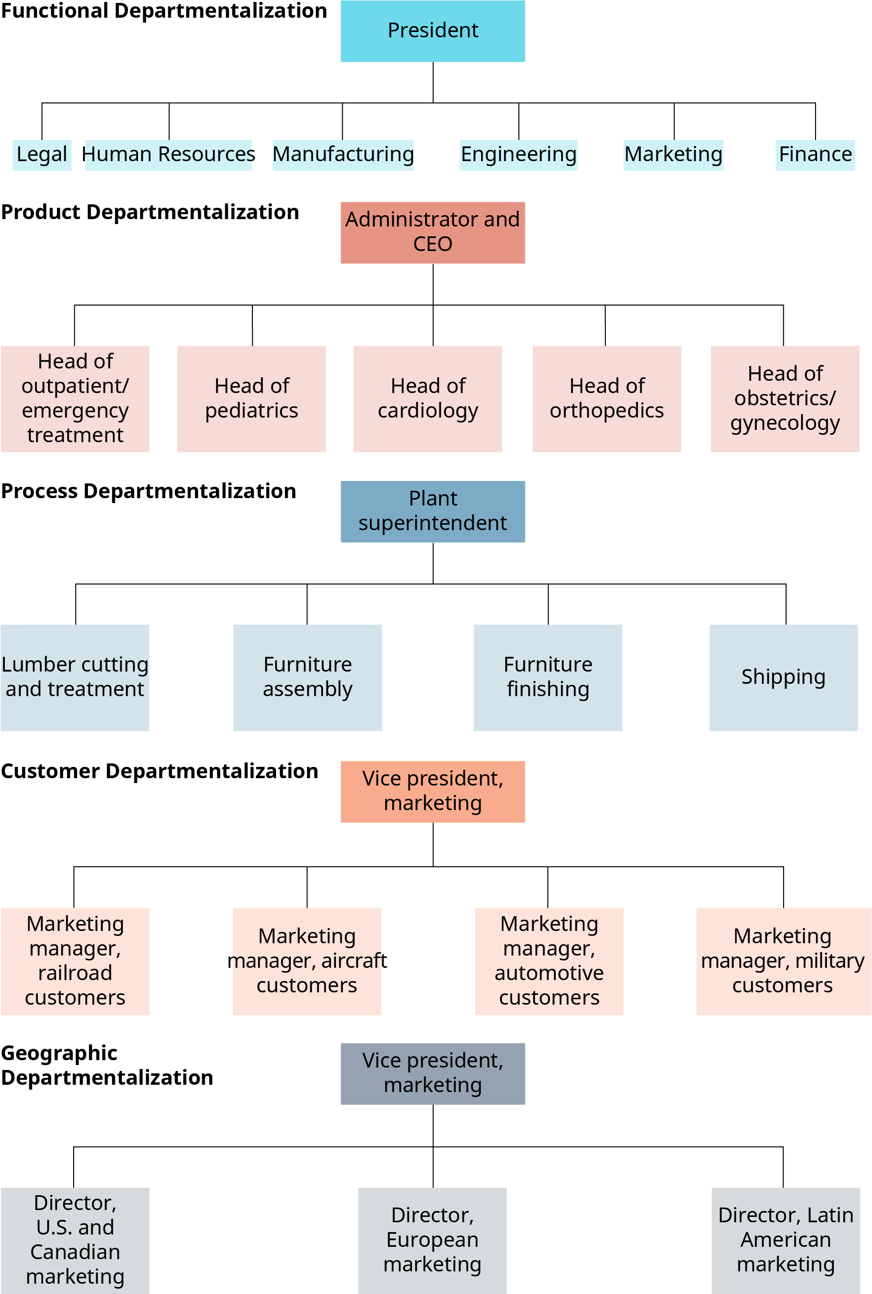 Disney Organizational Structure Chart