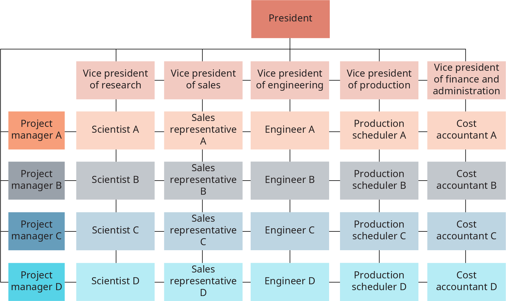 The matrix is made up of 5 columns and 4 rows. At the top of the matrix is the president; the president has lines extending to each column and row. The rows, from top to bottom, are labeled, Project manager A and Project manager B, and Project manager C, and Project manager D. From left to right, the columns are labeled Vice president of research and Vice president of sales, and Vice president of engineering, and Vice president of production, and Vice president of finance and administration. From left to right, the cells in the first row read, Scientist A, and Sales Representative A, and Engineer A, and Production Scheduler A, and Cost accountant A. Each row has this same construction, with scientist under v p of research; and sales rep under v p of sales, and engineer under v p of engineering, and production scheduler under v p of production, and cost accountant under v p of finance and admin.