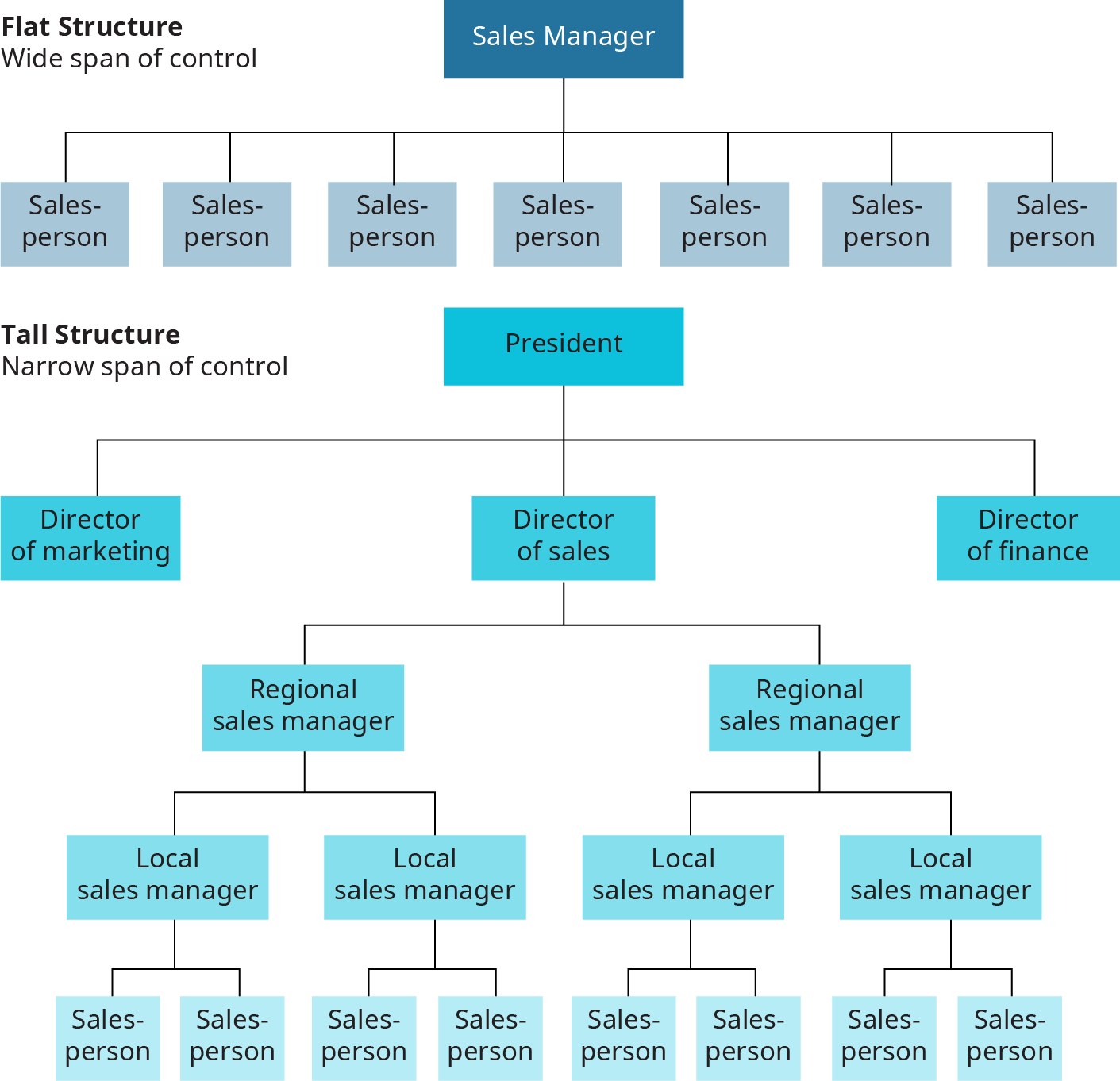 The flat structure has a wide span of control. The diagram is shown as a sales manager having lines extending down connecting to 7 separate sales people all along a horizontal plane. The tall structure has a narrow span of control. The president is at the top, with 3 lines extending down to 3 separate directors; the director of marketing, director of sales, and director of finance. A line extends down from director of sales to 2 separate regional sales managers. Lines extend down from each regional sales manager to 2 separate local sales managers. Lines extend down from each local sales manager to two separate salespersons.