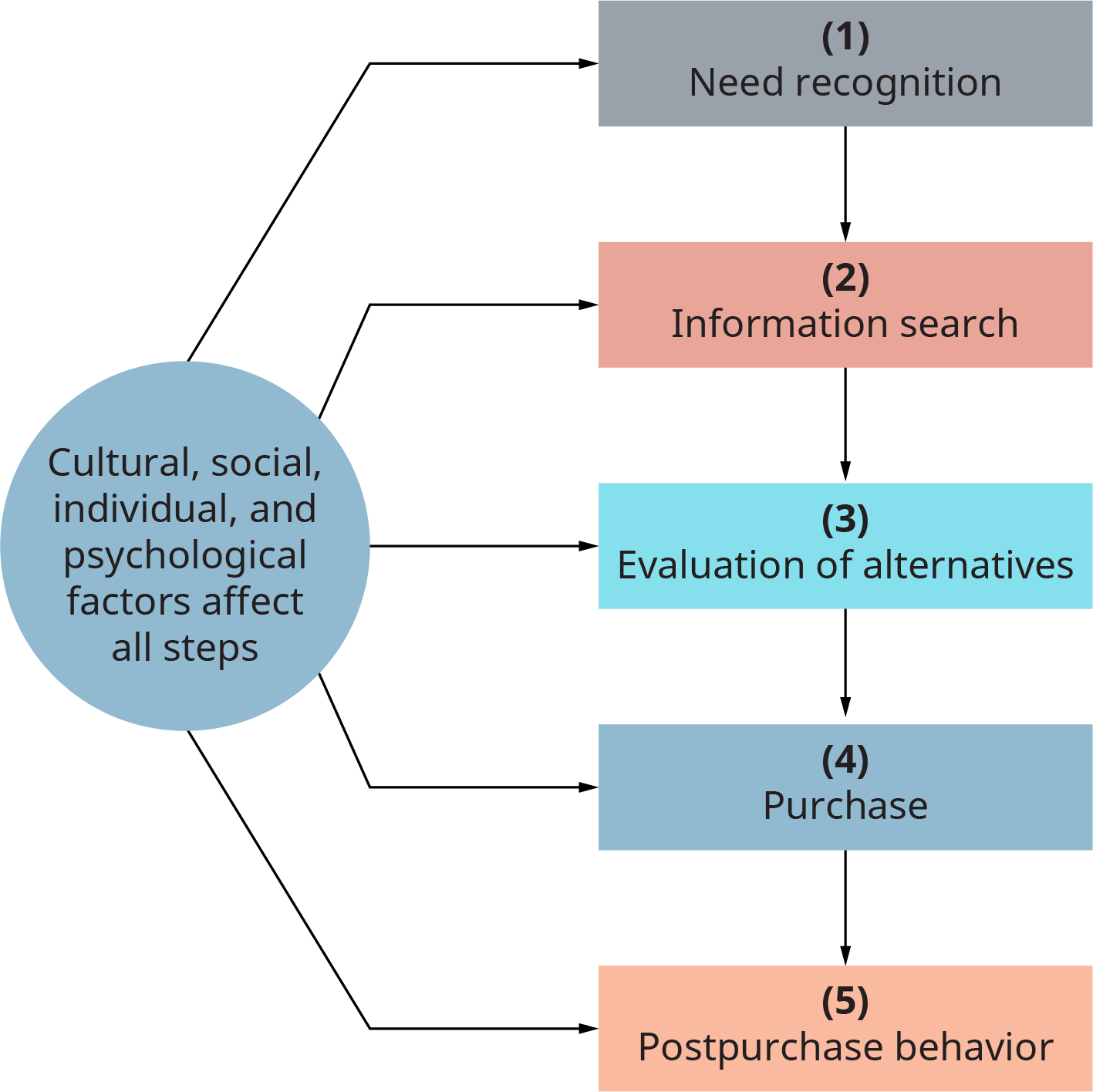 A circle has arrows connecting to a 5 step process. The circle is labeled as follows. Cultural, social, individual, and psychological factors affect all steps. Each step flows into the next. Step 1, need recognition. Step 2, information search. Step 3, evaluation of alternatives. Step 4, purchase. Step 5, post purchase behavior.