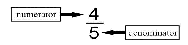 A picture of a common fraction, in which the numerator is 4 and the denominator is 5.