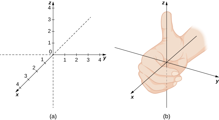 VECTORS