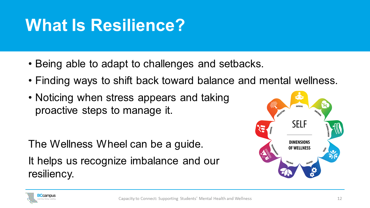 slide 12: what is resilience