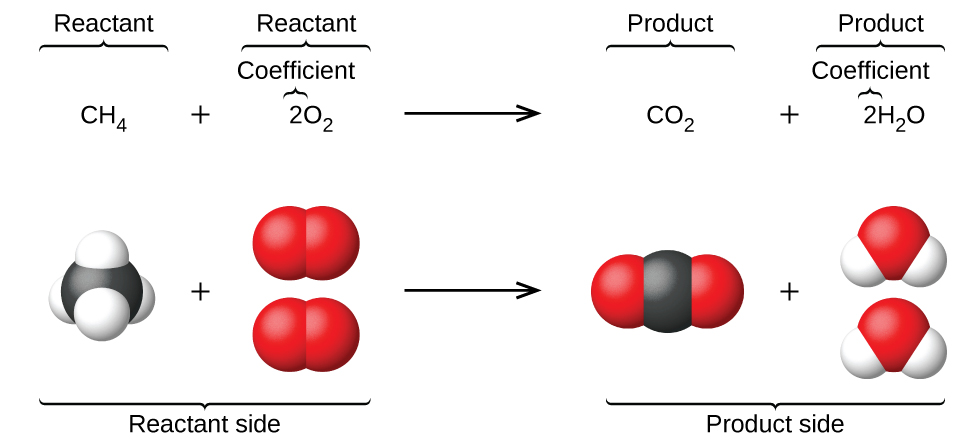 chemical equation balancer app