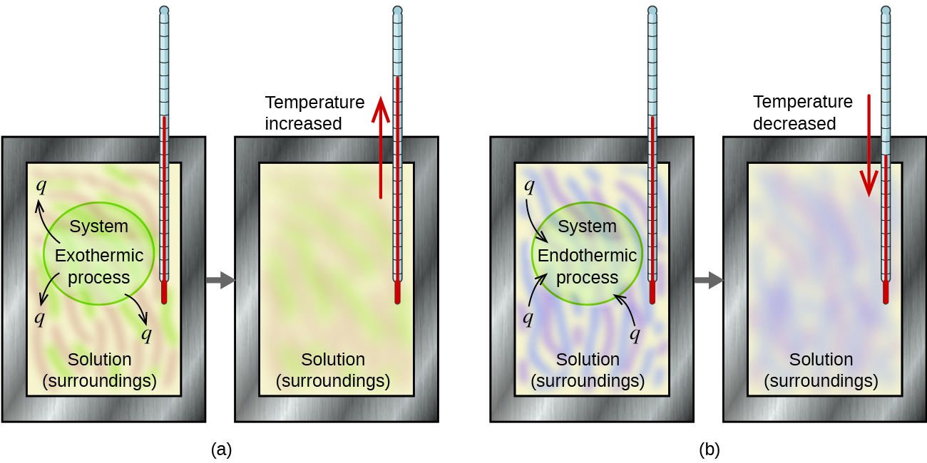 Two diagrams labeled a and b are shown. Each is made up of two rectangular containers with a thermometer inserted into the top right and extending inside. There is a right facing arrow connecting each box in each diagram. The left container in diagram a depicts a pink and green swirling solution with the terms 