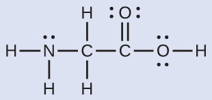 A Lewis structure depicts a nitrogen atom with one lone pair of electrons that is single bonded to two hydrogen atoms and a carbon atom, which is, in turn, single bonded to two hydrogen atoms and another carbon atom. This carbon atom is double bonded to an oxygen atom with two lone pairs of electrons and single bonded to an oxygen that has two lone pairs of electrons and a single bond to a hydrogen atom.