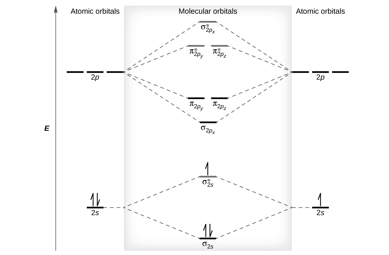 4.4 Molecular Orbital Theory Chemical Bonding and Organic Chemistry