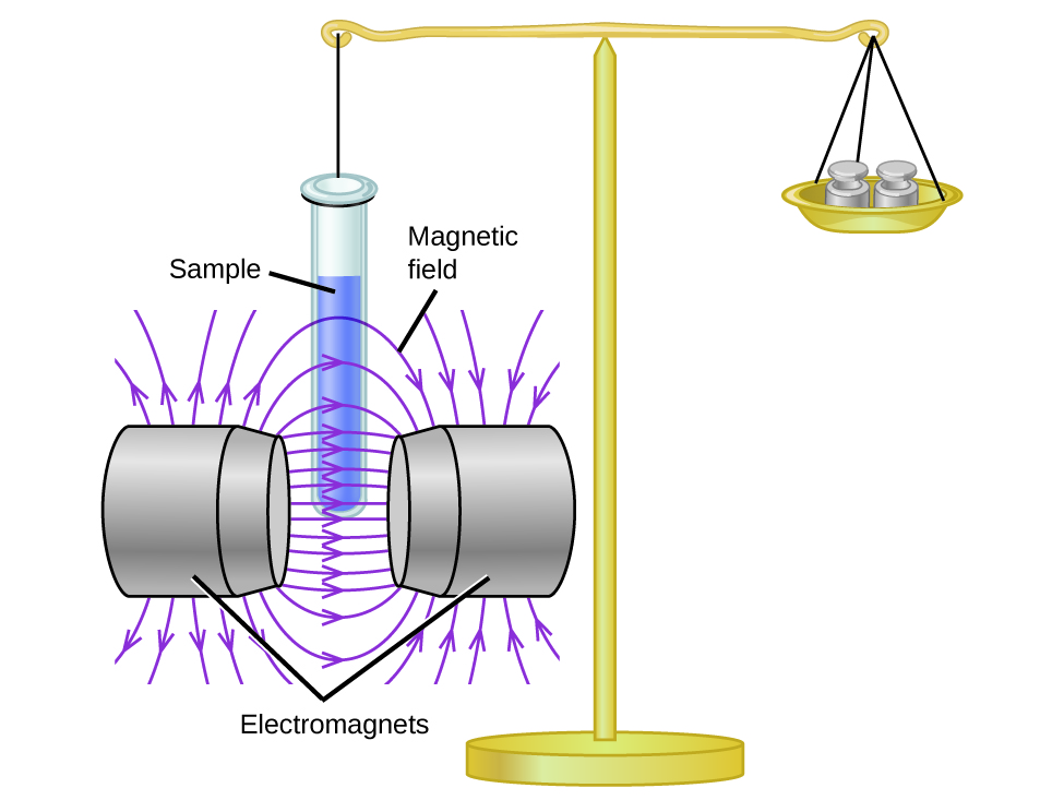 A diagram depicts a stand supporting two objects that are held in balance by a horizontal bar. On the right, the bar supports a dish that is holding two weights. On the left there is a line attached to a test tube labeled, “Sample tube.” The test tube has been lowered into the space labeled, “Magnetic field,” between two structures labeled, “Electromagnets.”