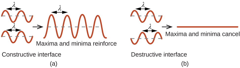 A pair of images is shown that has four sections. In the first section, two sinusoidal waves are shown, one drawn above the other, and a section from the top of one curve to the top of the next curve is labeled “lambda.” The curves align with one another. The phrase below this reads “Constructive interference.” A right facing arrow leads from the first section to the second, which shows one larger sinusoidal curve that has higher and lower peaks and troughs. A section from the top of one curve to the top of the next curve is labeled “lambda” and the phrase below this reads “Maxima and minima reinforce.” In the second section, two sinusoidal waves are shown, one drawn above the other, and a section from the top of one curve to the top of the next curve is labeled “lambda.” The curves do not align with one another. The phrase below this reads “Destructive interference.” A right facing arrow leads from the first section to the second, which shows one flat line. The phrase below this reads “Maxima and minima cancel.”