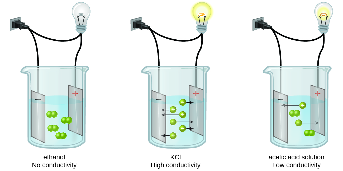 examples solutions that electricity conduct of beakers. wire shows three diagram a plugged has This Each separate