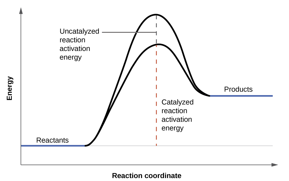 A graph is shown with the label, 