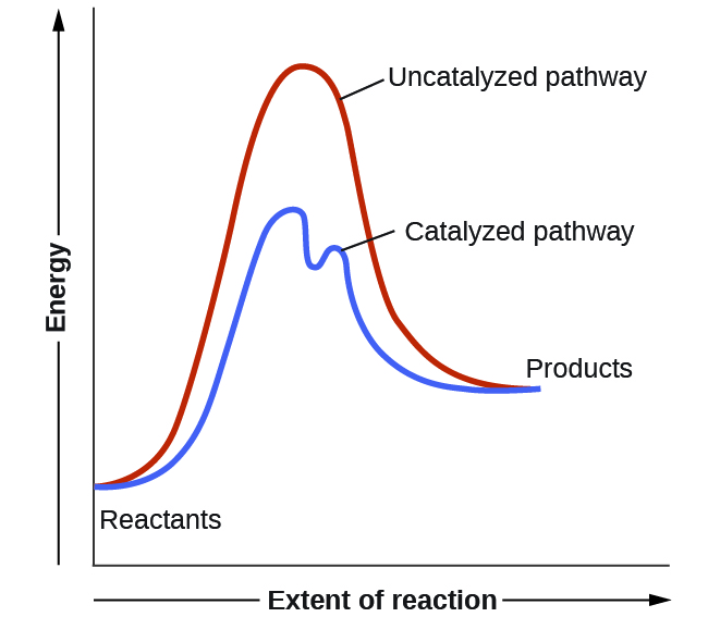 A graph is shown with the label, 