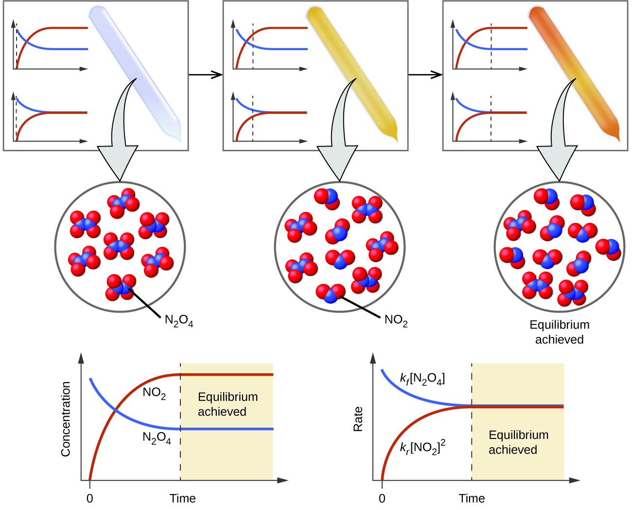 13 1 Chemical Equilibria Chemistry