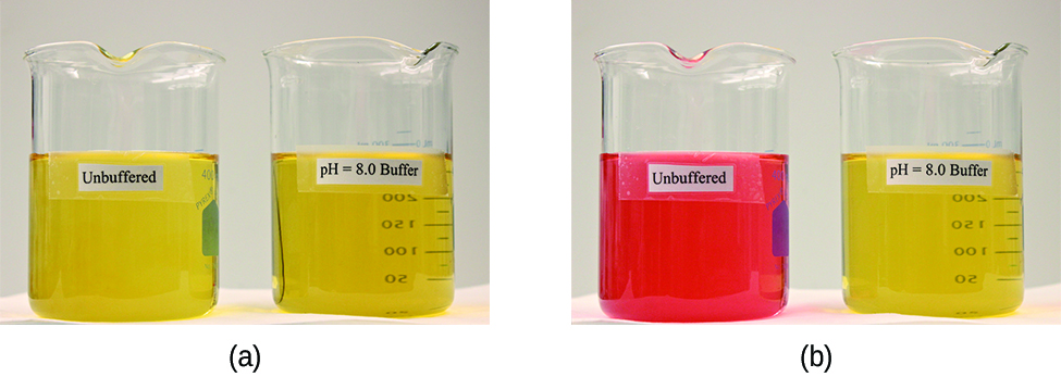 Two images are shown. Image a on the left shows two beakers that each contain yellow solutions. The beaker on the left is labeled 