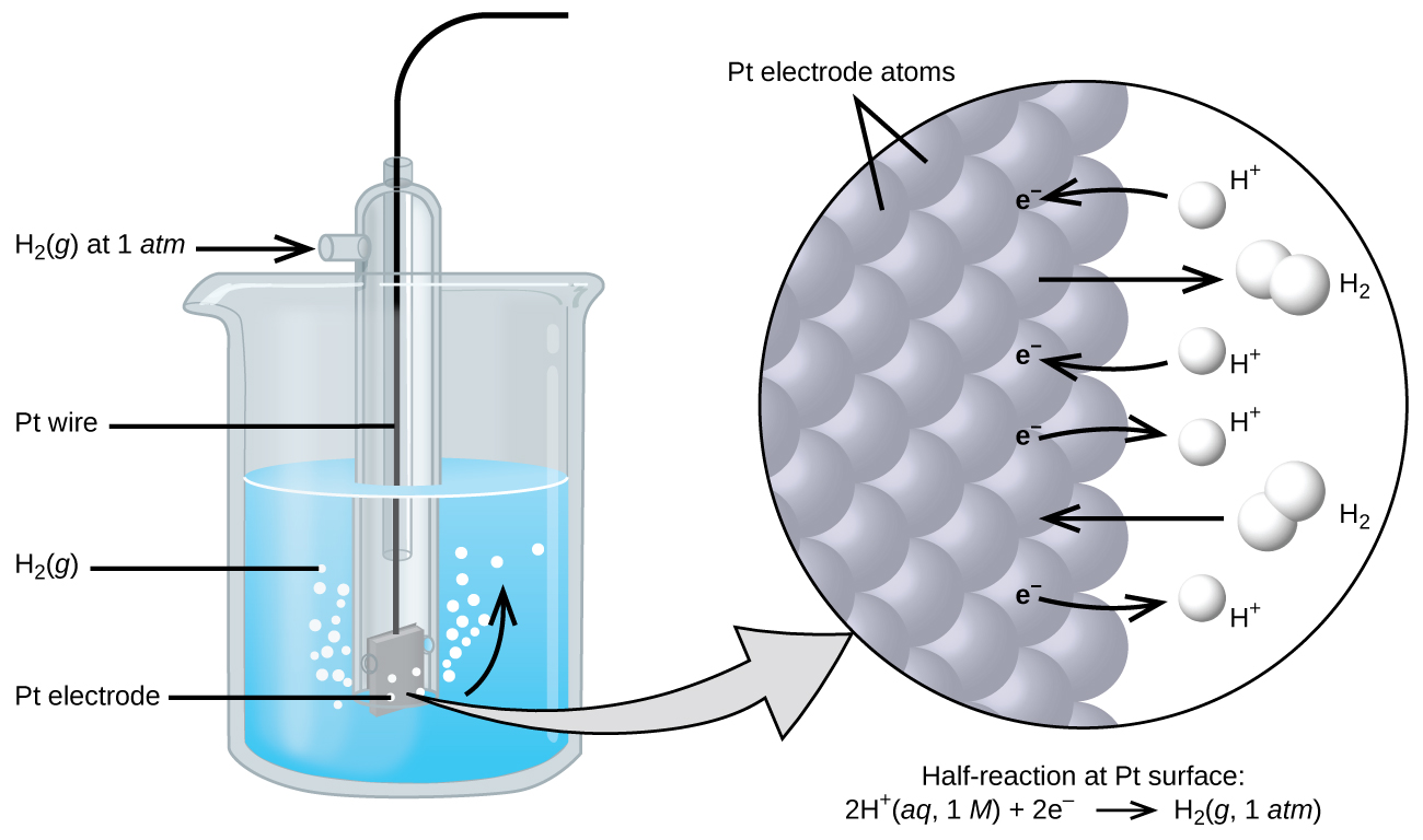 17.3 Standard Reduction Potentials – Chemistry