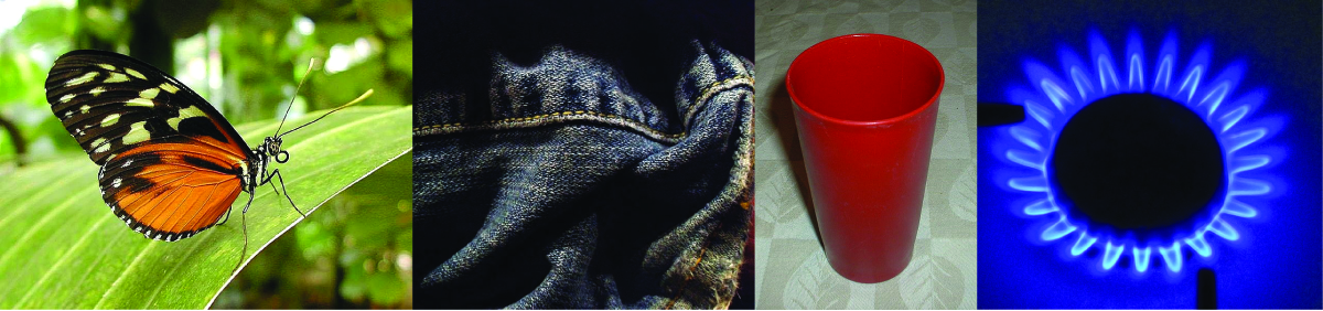 This figure includes four photographs. The first is of an orange and black butterfly on a large leaf. The second shows a seam on a worn pair of blue jeans. The third image is of a red plastic drinking cup. The last image shows the blue flames of a lit burner on a gas stove.
