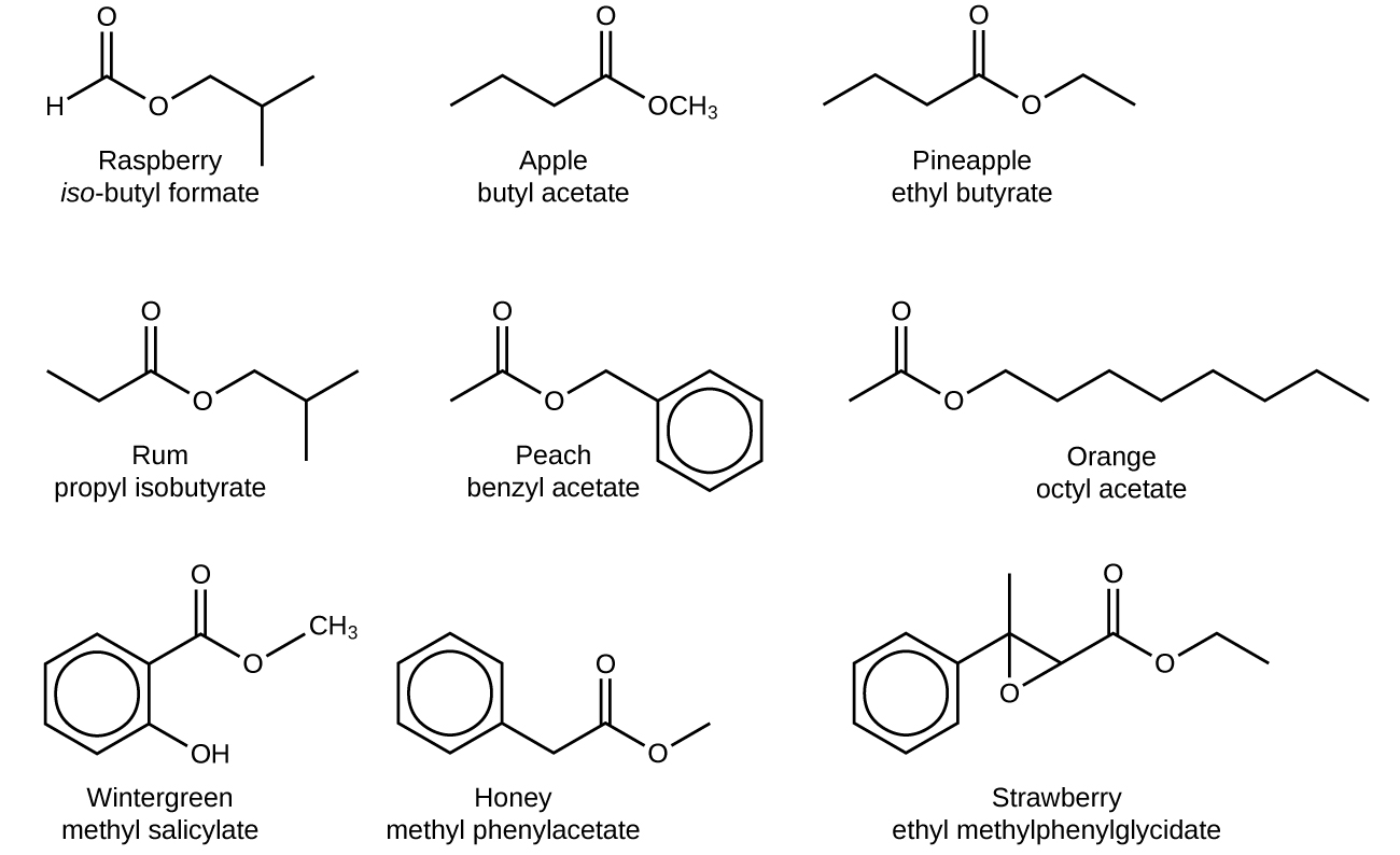 Ester Smell Chart