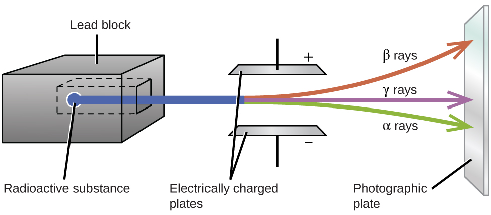 A diagram is shown. A gray box on the left side of the diagram labeled “Lead block” has a chamber hollowed out in the center in which a sample labeled “Radioactive substance” is placed. A blue beam is coming from the sample, out of the block, and passing through two horizontally placed plates that are labeled “Electrically charged plates.” The top plate is labeled with a positive sign while the bottom plate is labeled with a negative sign. The beam is shown to break into three beams as it passes in between the plates; in order from top to bottom, they are red, labeled “beta rays,” purple labeled “gamma rays” and green labeled “alpha rays.” The beams are shown to hit a vertical plate labeled “Photographic plate” on the far right side of the diagram.