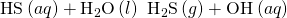 Rendered by QuickLaTeX.com {\text{HS}}^{\text{−}}\left(aq\right)+{\text{H}}_{2}\text{O}\left(l\right)\phantom{\rule{0.2em}{0ex}}⇌\phantom{\rule{0.2em}{0ex}}{\text{H}}_{2}\text{S}\left(g\right)+{\text{OH}}^{\text{−}}\left(aq\right)