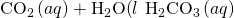 Rendered by QuickLaTeX.com {\text{CO}}_{2}\left(aq\right)+{\text{H}}_{2}\text{O(}l\right)\phantom{\rule{0.2em}{0ex}}⇌\phantom{\rule{0.2em}{0ex}}{\text{H}}_{2}{\text{CO}}_{3}\left(aq\right)