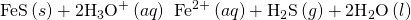 Rendered by QuickLaTeX.com \text{FeS}\left(s\right)+{\text{2H}}_{3}{\text{O}}^{\text{+}}\left(aq\right)\phantom{\rule{0.2em}{0ex}}⟶\phantom{\rule{0.2em}{0ex}}{\text{Fe}}^{2+}\left(aq\right)+{\text{H}}_{2}\text{S}\left(g\right)+{\text{2H}}_{2}\text{O}\left(l\right)