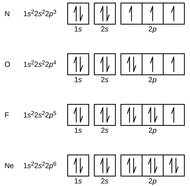 This figure includes electron configurations and orbital diagrams for four elements, N, O, F, and N e. Each diagram consists of two individual squares followed by 3 connected squares in a single row. The first square is labeled below as, 
