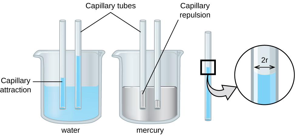 An image of two beakers and a tube is shown. The first beaker, drawn on the left and labeled 