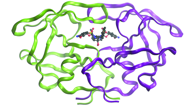 A diagram of a molecule is shown. The image shows a tangle of ribbon-like, intertwined, pink and green curling lines with a complex ball and stick model in the center.