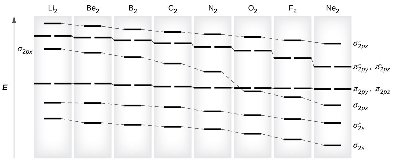 A graph is shown in which the y-axis is labeled, 