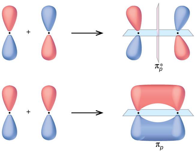 Two horizontal rows of diagrams are shown. The upper and lower diagrams both begin with two vertical peanut-shaped orbitals with a plus sign in between followed by a right-facing arrow. The upper diagram shows the same vertical peanut orbitals bending slightly away from one another and separated by a dotted line. It is labeled, 