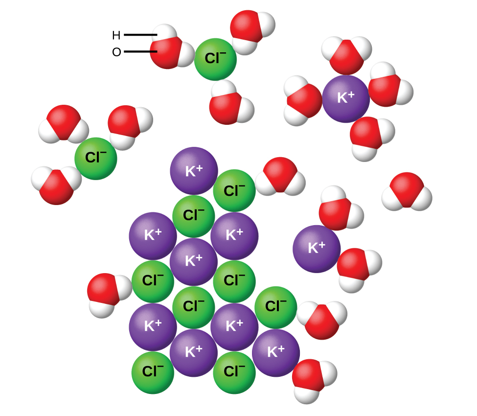 Electrolytes Chemistry Atoms First 2e