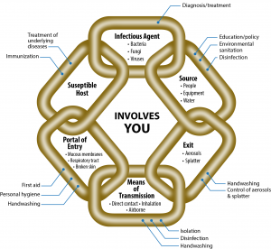 Breaking the chain of Infection – Clinical Procedures for Safer Patient ...