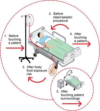 5 Moments For Hand Hygiene – Clinical Procedures For Safer Patient Care