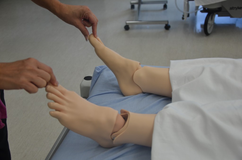 2-5-head-to-toe-assessment-clinical-procedures-for-safer-patient-care