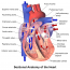 2.7 Focused Assessments – Clinical Procedures for Safer Patient Care