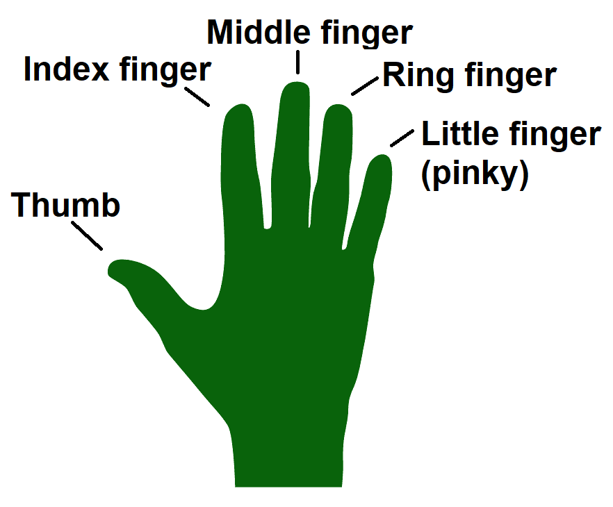 Fingers on the right hand with labels, left to right: thumb, index finger, middle finger, ring finger, and little finger.
