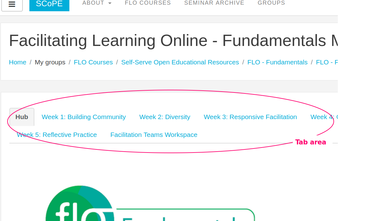 A screenshot of tabs listed on the FLO Fundamentals website