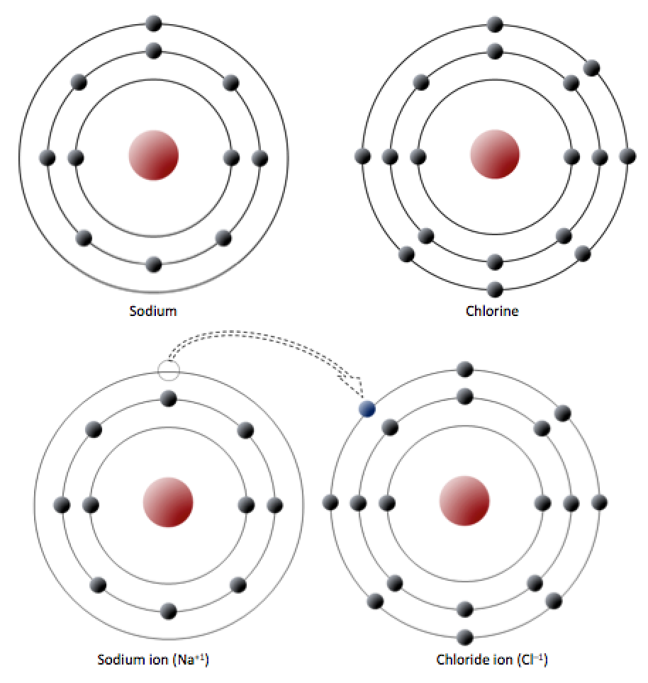 bohr model of sodium atom