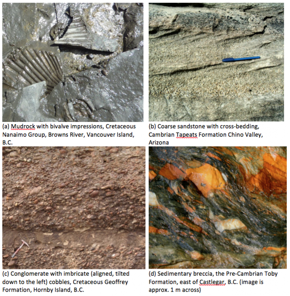 Clastic Sedimentary Rock Types