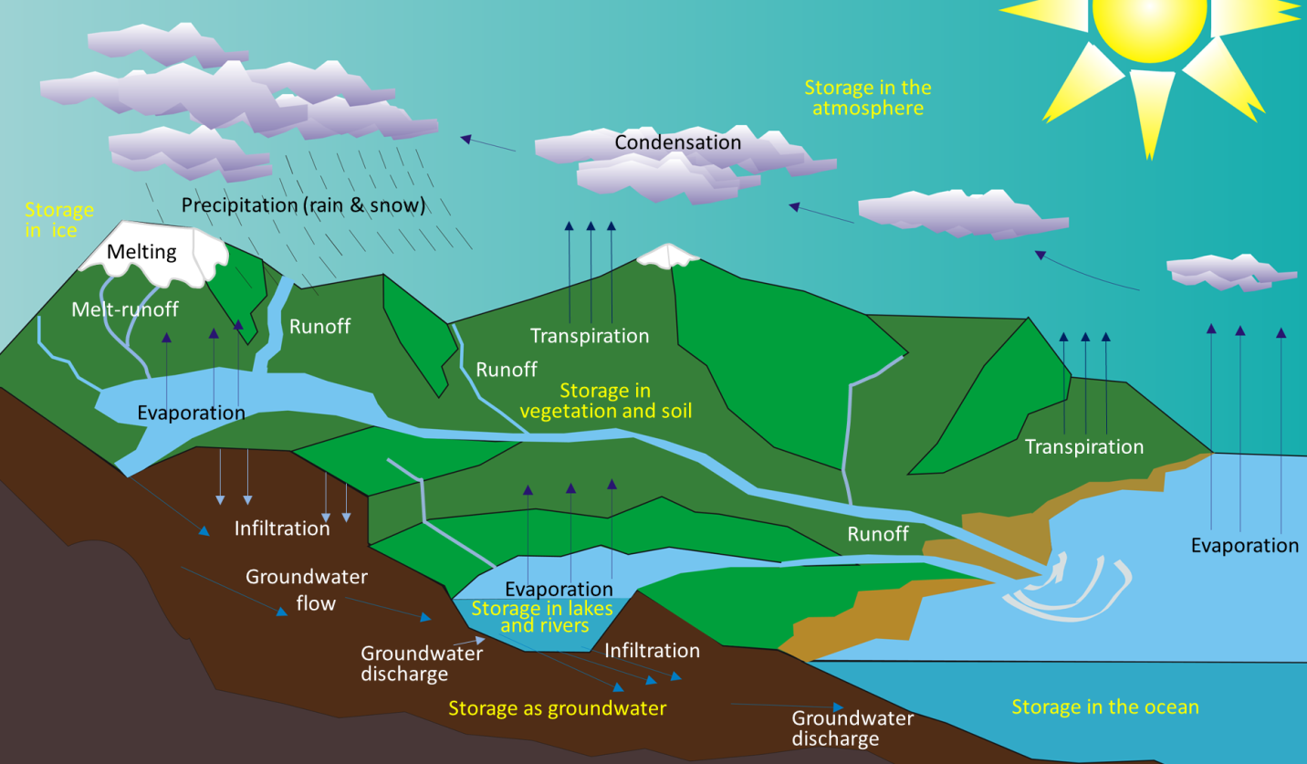 15.1: Streams in the Hydrological Cycle - Geosciences LibreTexts