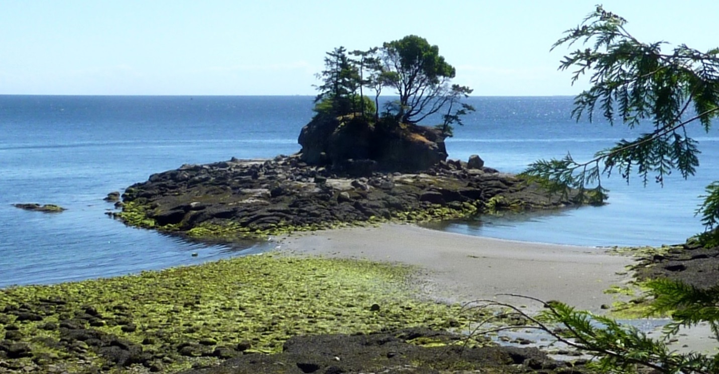 Figure 17.22 A stack (with a wave-cut platform) connected to the mainland by a tombolo, Leboeuf Bay, Gabriola Island, B.C. [SE]